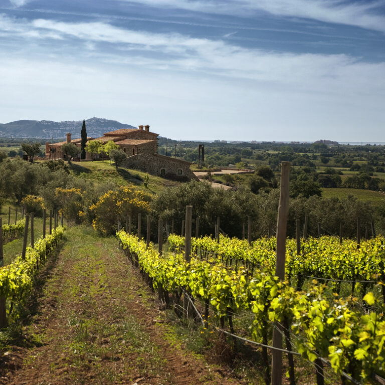 Casa Rural Vilajuïga