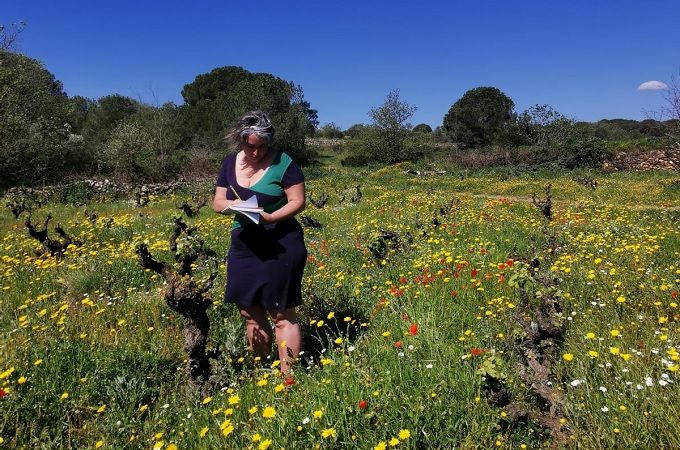 viticultura terra mereix