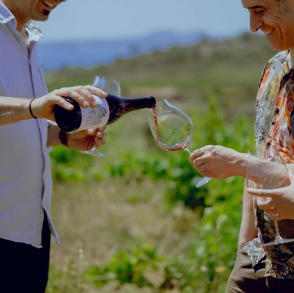 enoturisme-roses-espelt