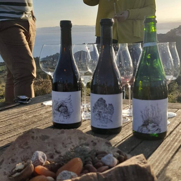 Reserva visita - tast privat Celler Espelt